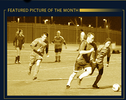 picture of the month